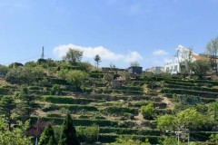 3-0双响炮！阿森纳新援炸裂英超，7000万先生让枪迷忘记赖斯